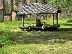 -齐齐哈尔龙沙动植物园