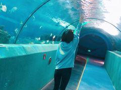 -秦皇岛新澳海底世界