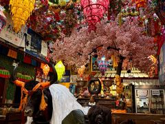 -吉祥圣雪藏餐