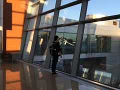 -谢列梅捷沃国际机场