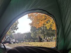 -方山风景区定林寺