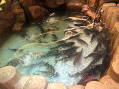 -东北大院·东北菜(三台子店)