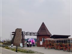 -空港花田景区