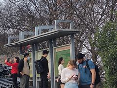 -紫金山山顶公园