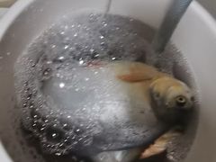 -粮心小农·大头虾亲子生态园(长发店)