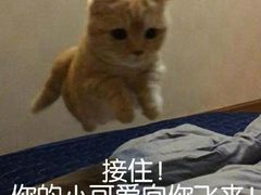-肯德基(孝陵卫地铁站店)
