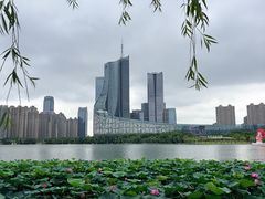-天鹅湖体育公园