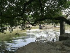 android_upload_pic-小洲村