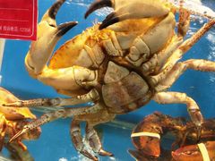 -沿海渔家院海鲜烧烤·东北菜(东戴河店)
