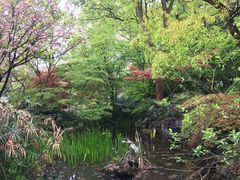 -南山植物园