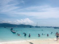 -珊瑚岛