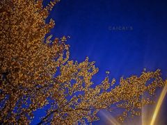 -天鹅湖体育公园