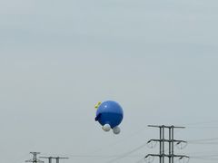 -漕湖湿地公园