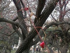 android_upload_pic-辽宁大学(崇山校区)