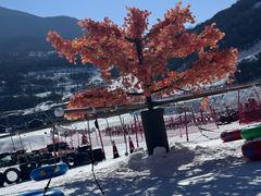 -太子岭滑雪场