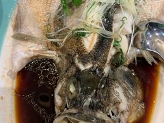 清蒸鲈鱼-一品滇香·云南菜(公益西桥店)