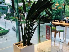 -Blueglass酸奶(华贸购物中心店)