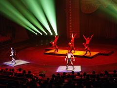 -珠海横琴长隆《卡卡虎奇遇记》