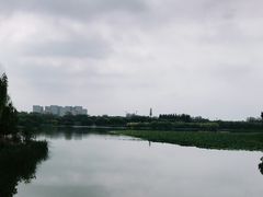 -大兴滨河森林公园
