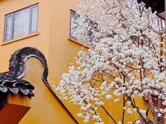 -龙华寺
