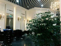 -变画·发型STUDIO