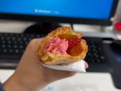 -蒲公英(五里店)