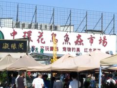 -中环花鸟鱼虫市场