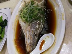 清蒸鲈鱼-老字号蛇口德记烧腊饭店·海鲜加工