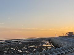 -南汇嘴观海公园