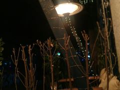 -Sirena海妖日咖夜酒