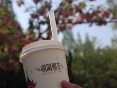 -鸡鸣赐茶(鸡鸣寺路店)