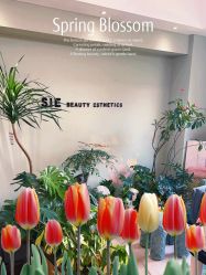 点击看大图 -Lumi露米·美甲美睫品质店