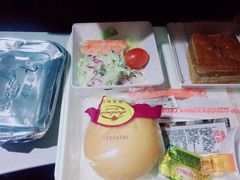 -谢列梅捷沃国际机场