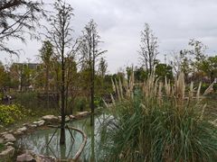 -上海浦江郊野公园-5号停车场