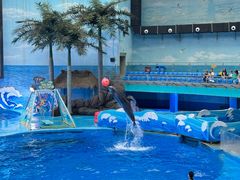 -海合安成都极地海洋公园