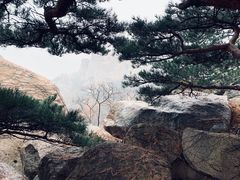 -崂山仰口游览区