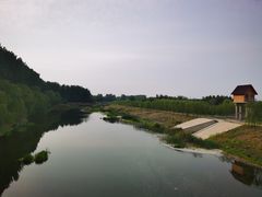 -东郊湿地公园