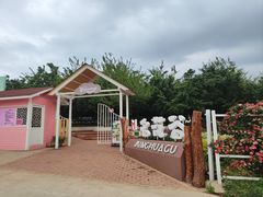 -名花谷生态庄园