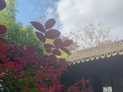-秋霞圃