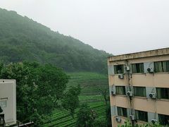 -浙江大学(玉泉校区)