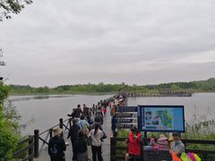 -溱湖国家湿地公园