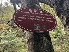 -茅兰沟国家森林公园