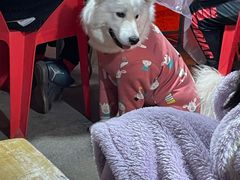 -避风塘(百联奥特莱斯广场店)