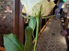 -锦府盐帮·李宅(领展购物广场中关村店)