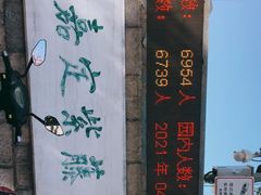 -嘉定紫藤园