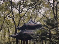 -灵谷景区