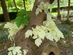 -白塘生态植物园