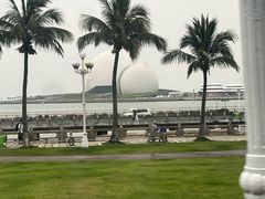-野狸岛