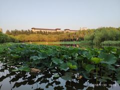 -吉林大学(前卫南区)
