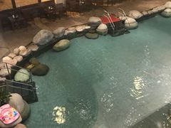 -青城道汤池